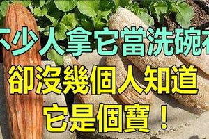 這種被當做「洗碗布」的東西，竟是被大家忽略的寶，很多人還不知道！