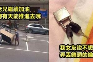 33張讓你不禁「懷疑人類智商下限」的照片，每張都讓人看的黑人問號