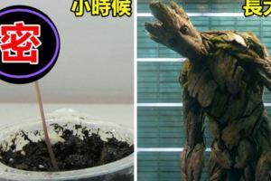 超級英雄小時候長啥樣？蘿莉變禦姐，正太變大叔，時間真可怕