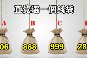 心理測試：直覺選一個錢袋，測你天生靠什麼賺大錢？