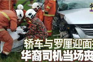 轎車與羅釐迎面撞華裔司機當場喪命