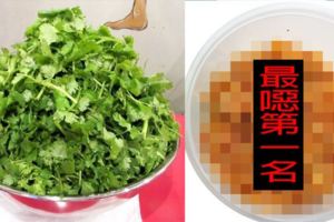 史上最噁香料冠軍！連香菜都慘輸「經典台灣味的它」鄉民狂嘔：一看到整個便當都吃不下