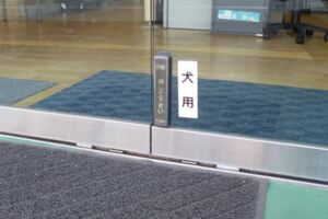 這家店在電動門安裝了一個「犬用」按鍵，只要有客人走到門口…店家的萌犬就會跑過來服務