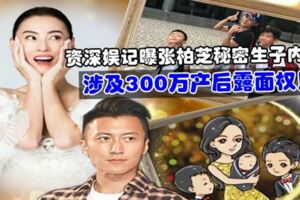 資深娛記曝張柏芝秘密生子內幕，涉及300萬產後露面權