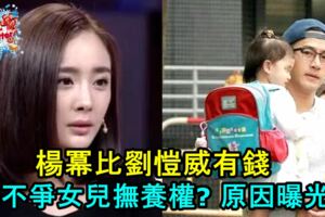 楊冪比劉愷威有錢卻不爭女兒撫養權?原因曝光！