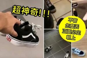 超神奇！Vans鞋「不管怎麼丟一定正面朝上」..網不信邪實測：翻不過來的一定是假貨(影