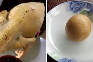 母雞5年沒下過蛋！　主人開宰竟從肚子裡挖出「價值1000萬金蛋」