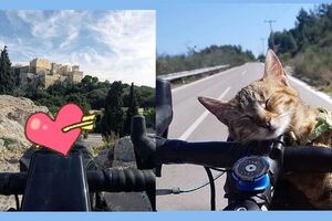 他辭掉工作周遊列國，一個小可愛卻闖進了他的旅途，生活天翻地覆