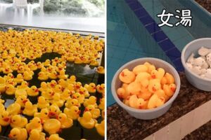 日本澡堂「鴨鴨浴」竟體現性別差異　女湯收超整齊…老闆看到男湯笑了
