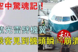 太驚險了，一道紫色閃電劈中機翼,上海一名乘客親眼目睹過程：感覺飛機要散了