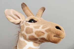兒子選了一隻長頸鹿當生日禮物，意外激發爸爸的DIY改造潛能，網友笑翻：原來高手藏在民間
