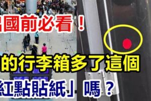 出國前必看！你的行李箱多了「這個紅貼紙」？這不是裝飾而是會「被罰一大筆錢」的標籤哦