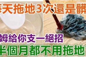 ​每天拖地3次還是髒？這個方法有效去除地板上的污漬