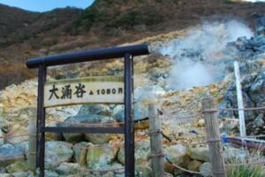 盤點神奈川箱根旅遊正確的入口給旅遊加分的秘訣就是這些