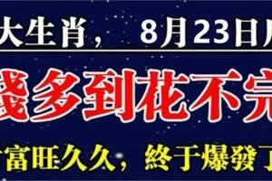 8月23日後錢多到花不完的生肖，財富旺久久，終於爆發了