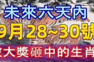 未來六天內【9月28號～9月30號】會被大獎砸中的生肖