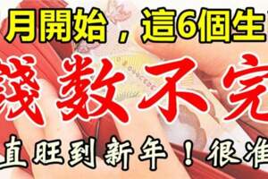 11月開始錢數不完，這六個生肖意外之財進口袋，一直旺到新年