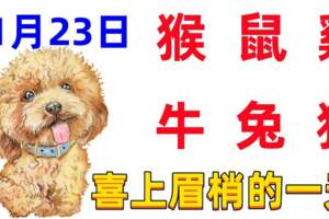 11月23日十二生肖【每日老黃曆】