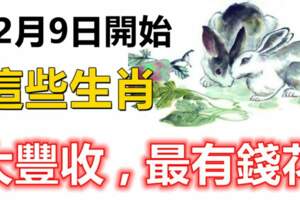 12月9日開始，這些生肖豐收在望，最有錢花