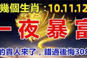 這幾個生肖：12月10.11.12號一夜暴富，不要錯過