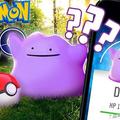 	「百變怪」獲得方法？PokemonGO 開發商首次給出解答! 