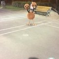 Pokemon 球沒丟中 還可撿回來！