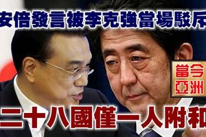 安倍發言被李克強當場駁斥 28國僅一人附和