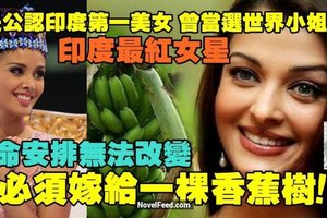 	她是印度第一美女，世界小姐冠軍，印度最紅女星，卻嫁給了。。。一棵香蕉樹！OMG！！！