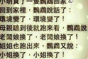 這隻鸚鵡會害死人