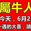 就在今天，屬牛人6月22號，難得一遇的大喜，請珍惜！