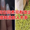 綠豆和它同煮可有效治肝病可惜知道的人不多