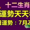 十二生肖運勢天天看，今日運勢：7月24日