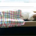 因為家中貓太祖睡在地板上很抓狂，所以設計出了一系列躺上去馬上失去意識的高級床組，保證一躺就上癮