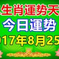 十二生肖運勢天天看，今日運勢：8月25日