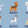 16張激萌毛小孩插畫讓大家「讓大家看懂全世界狗狗的起源」！