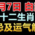 9月7日白露十二生肖喜忌及運氣解讀