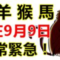 生肖兔、羊、猴、馬的人注意了！就在9月9日！