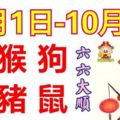 12生肖周運勢！雞、猴、狗、牛、豬、鼠！六六大順！（10月1日—10月8日）