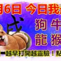 12月6日，今日我最旺！狗牛鼠龍猴豬！【22688】越早打開越靈驗！點個贊吧！