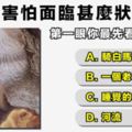 【視覺分析】你最害怕面臨甚麼狀況？