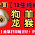 【12生肖運勢】4月8日星期日，【36788】趁早打開越靈驗！點個贊吧！