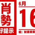 12生肖天天生肖運勢解析（6月16日）