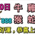 6月30日生肖運勢_牛、雞、龍大吉