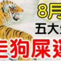 8月就走狗屎運的5個生肖，看看有你嗎？