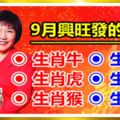 風水大師麥玲玲說，這六大屬相，9月狗屎運來了興旺發！