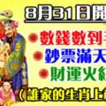 8月31日開始，數錢數到手抽筋！鈔票滿天飛，錢財奔你的生肖！