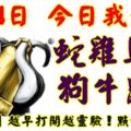 9月4日，今日我最旺！蛇雞馬猴狗牛鼠兔！【11888】越早打開越靈驗！點個讚吧！