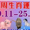 一周生肖運勢（19.11-25.11）