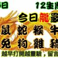 2018年12月6日，星期四農歷十月廿九（戊戌年癸亥月壬申日）