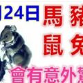 12月24日生肖運勢_馬、豬、狗大吉